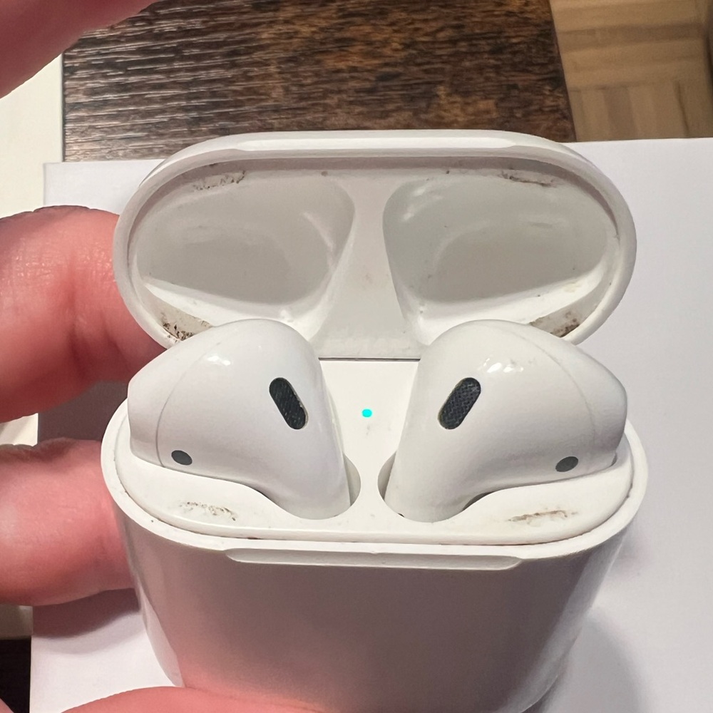 Apple Earbud Headphones and Apple charging case